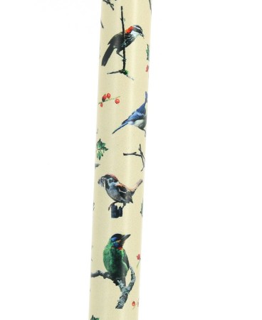 canne-reglable-en-aluminium-beige-motif-oiseaux (1)